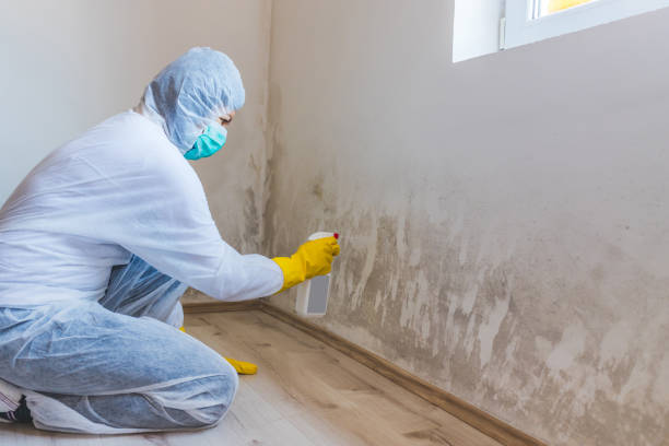 Bathroom Mold Removal assessment in Ridgefield bathroom