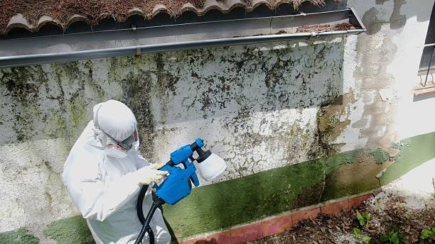 Mold Removal service in Ridgefield